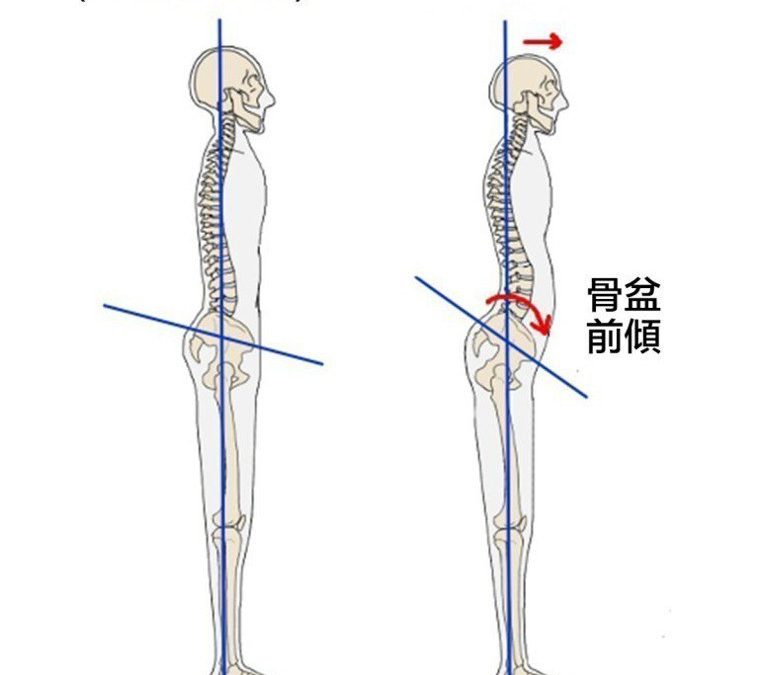 膝蓋疼痛 不一定是關節退化